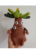 Frailejón Ernesto Pérez