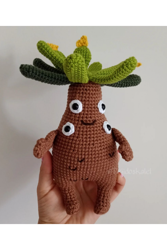Frailejón Ernesto Pérez Frailejón Ernesto Pérez
